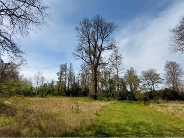 Venta Parcela  Loncotraro