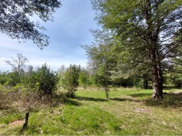 Venta Parcela  Loncotraro