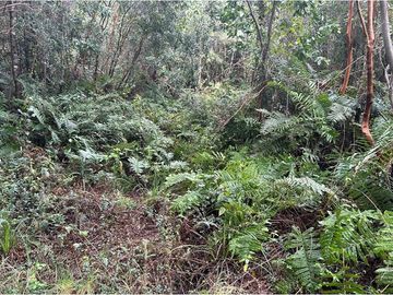 Venta Parcela  Loncotraro