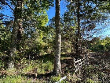 Venta Parcela  Loncotraro