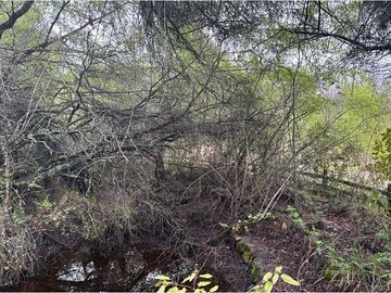 Venta Parcela  Loncotraro