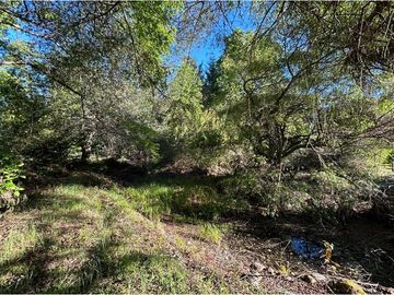 Venta Parcela  Loncotraro