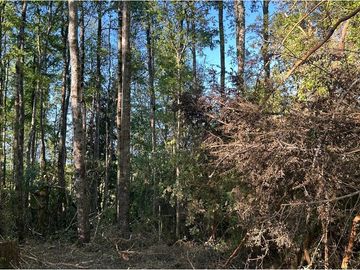 Venta Parcela  Loncotraro