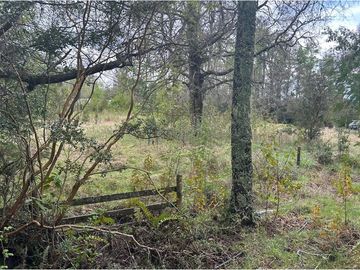 Venta Parcela  Loncotraro