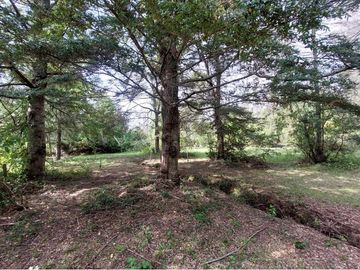 Venta Parcela  Loncotraro