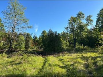 Venta Parcela  Loncotraro