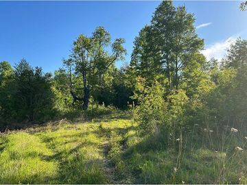 Venta Parcela  Loncotraro