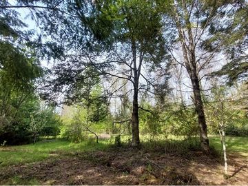 Venta Parcela  Loncotraro