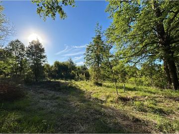 Venta Parcela  Loncotraro