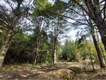 Venta Parcela  Loncotraro