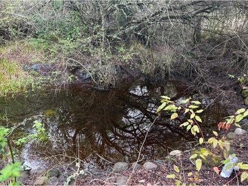 Venta Parcela  Loncotraro