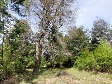 Venta Parcela  Loncotraro