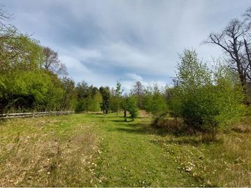 Venta Parcela  Loncotraro