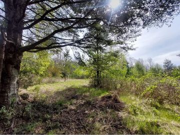 Venta Parcela  Loncotraro