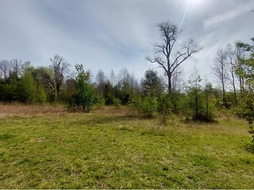 Venta Parcela  Loncotraro