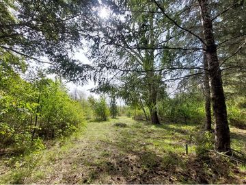 Venta Parcela  Loncotraro