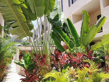 Venta Departamento. Tulum, Qroo. Zona La Veleta. Conjunto Smart Depas.