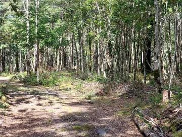 Parcela en venta en VILLARRICA