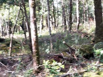 Parcela en venta en VILLARRICA