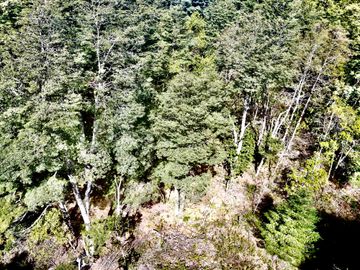 Parcela en venta en VILLARRICA