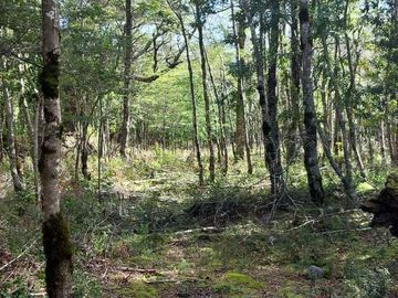 Parcela en venta en VILLARRICA