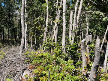 Parcela en venta en VILLARRICA