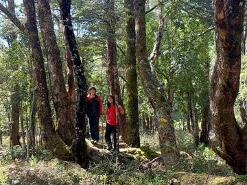 Parcela en venta en VILLARRICA