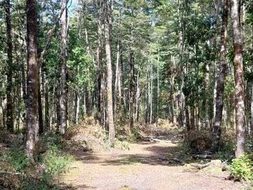 Parcela en venta en VILLARRICA