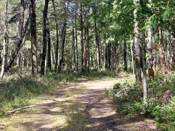 Parcela en venta en VILLARRICA