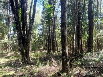 Parcela en venta en VILLARRICA