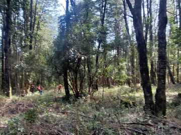 Parcela en venta en VILLARRICA