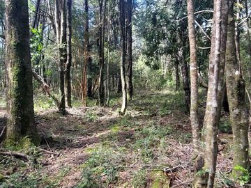 Parcela en venta en VILLARRICA