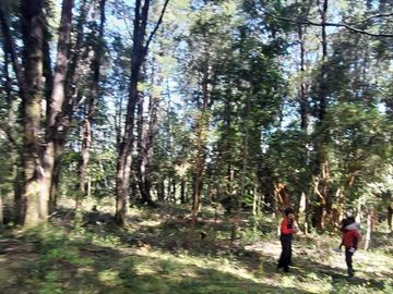 Parcela en venta en VILLARRICA