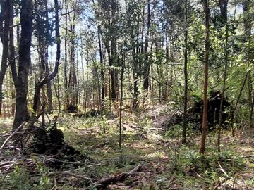 Parcela en venta en VILLARRICA