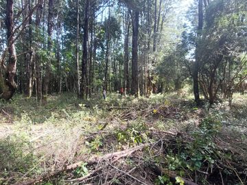 Parcela en venta en VILLARRICA