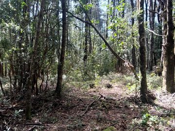 Parcela en venta en VILLARRICA