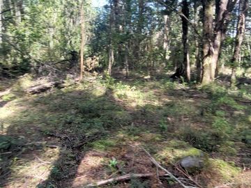 Parcela en venta en VILLARRICA