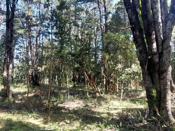 Parcela en venta en VILLARRICA