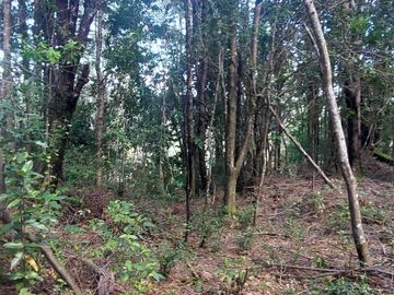 Parcela en venta en VILLARRICA