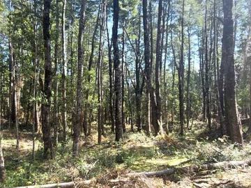 Parcela en venta en VILLARRICA