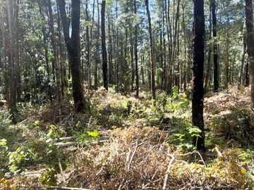 Parcela en venta en VILLARRICA