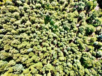 Parcela en venta en VILLARRICA