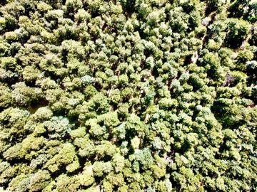 Parcela en venta en VILLARRICA