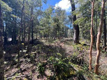 Parcela en venta en VILLARRICA