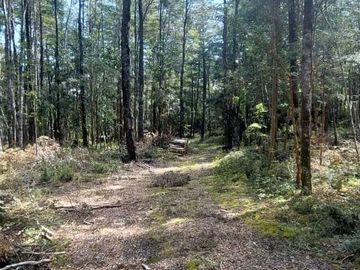 Parcela en venta en VILLARRICA