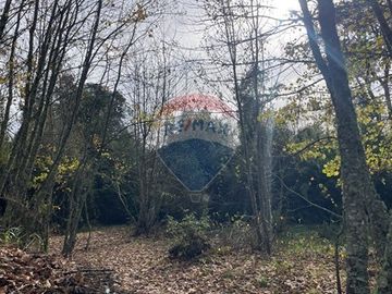 Parcela Exclusiva acceso controlado, en Villarrica