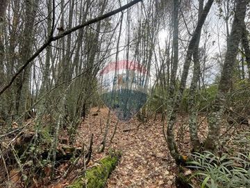 Parcela Exclusiva acceso controlado, en Villarrica