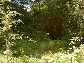 Parcela en venta en VILLARRICA