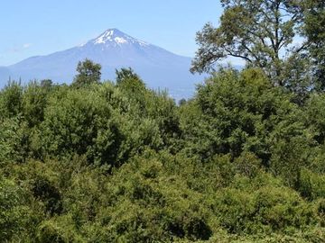 Parcela en venta en VILLARRICA
