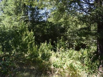 Parcela en venta en VILLARRICA